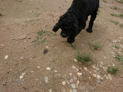 f:id:roukenhome-ann:20190708142756j:plain