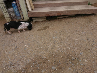 f:id:roukenhome-ann:20190708142805j:plain