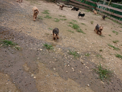 f:id:roukenhome-ann:20190708142810j:plain