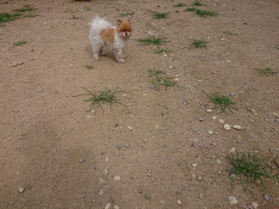 f:id:roukenhome-ann:20190708142820j:plain