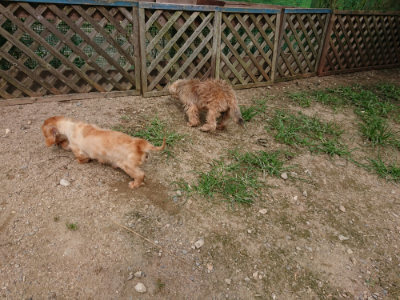 f:id:roukenhome-ann:20190708142826j:plain