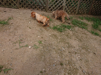 f:id:roukenhome-ann:20190708142845j:plain