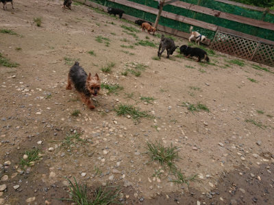 f:id:roukenhome-ann:20190708142855j:plain