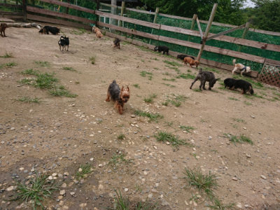 f:id:roukenhome-ann:20190708142914j:plain