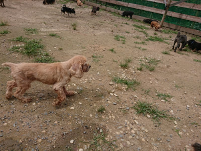 f:id:roukenhome-ann:20190708142920j:plain