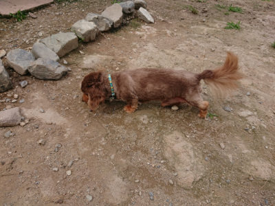 f:id:roukenhome-ann:20190708142930j:plain
