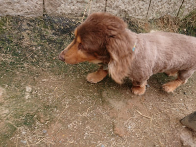 f:id:roukenhome-ann:20190708142940j:plain