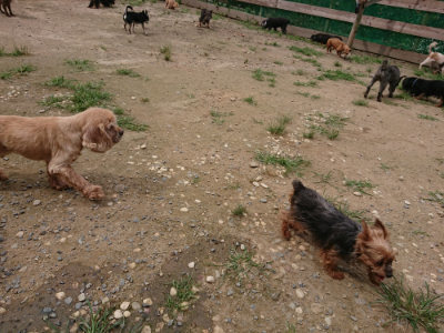 f:id:roukenhome-ann:20190708142945j:plain