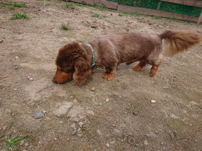 f:id:roukenhome-ann:20190708142953j:plain