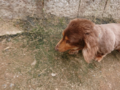 f:id:roukenhome-ann:20190708143012j:plain