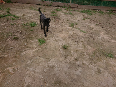 f:id:roukenhome-ann:20190708143020j:plain