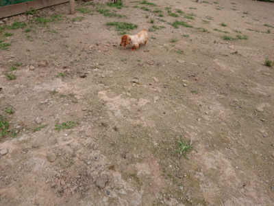 f:id:roukenhome-ann:20190708143043j:plain