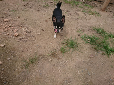f:id:roukenhome-ann:20190708143128j:plain