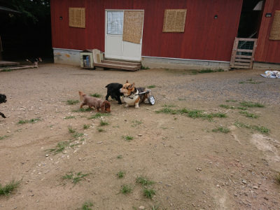 f:id:roukenhome-ann:20190708143133j:plain