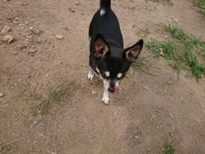 f:id:roukenhome-ann:20190708143154j:plain