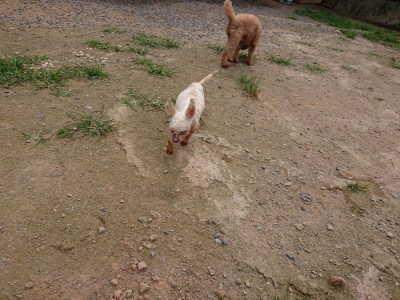 f:id:roukenhome-ann:20190708143212j:plain