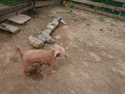 f:id:roukenhome-ann:20190708143313j:plain