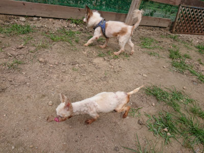 f:id:roukenhome-ann:20190708143337j:plain