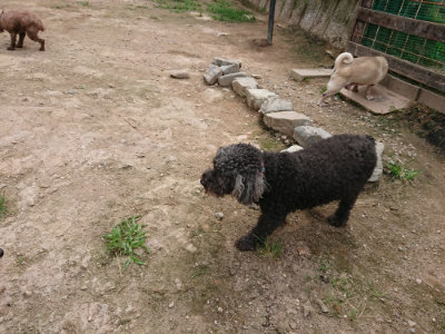 f:id:roukenhome-ann:20190708143348j:plain