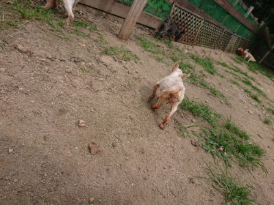 f:id:roukenhome-ann:20190708143402j:plain