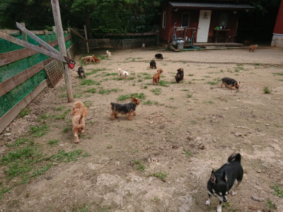 f:id:roukenhome-ann:20190708143407j:plain
