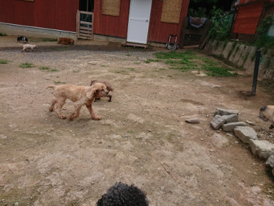 f:id:roukenhome-ann:20190708143412j:plain