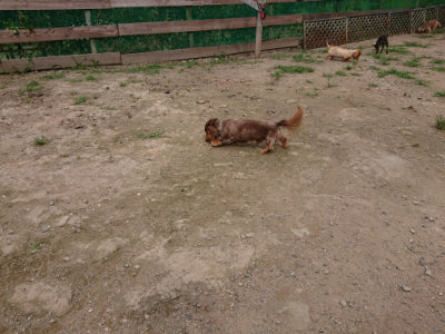 f:id:roukenhome-ann:20190708143416j:plain