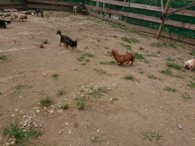f:id:roukenhome-ann:20190708151031j:plain