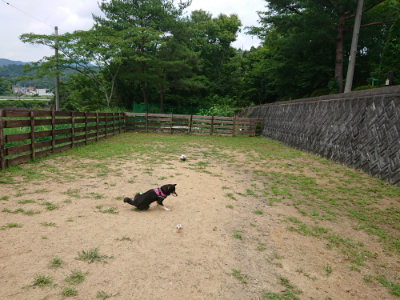 f:id:roukenhome-ann:20190708151051j:plain