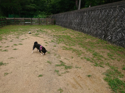 f:id:roukenhome-ann:20190708151110j:plain