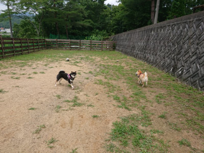 f:id:roukenhome-ann:20190708151115j:plain