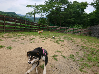 f:id:roukenhome-ann:20190708151121j:plain