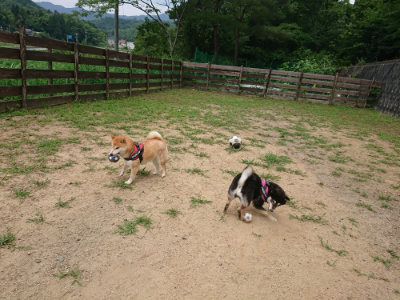 f:id:roukenhome-ann:20190708151125j:plain