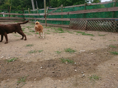 f:id:roukenhome-ann:20190708151137j:plain