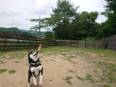 f:id:roukenhome-ann:20190708151142j:plain