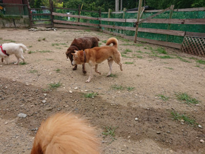 f:id:roukenhome-ann:20190708151226j:plain