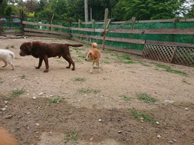 f:id:roukenhome-ann:20190708151251j:plain