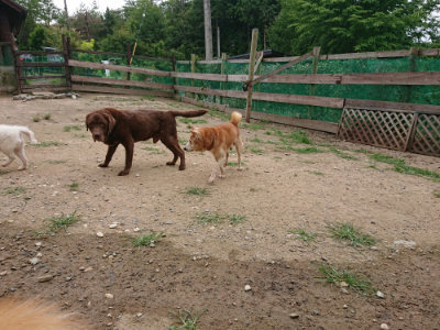 f:id:roukenhome-ann:20190708151255j:plain