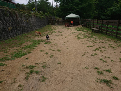 f:id:roukenhome-ann:20190708151304j:plain