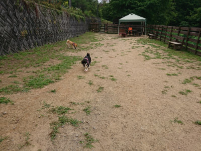 f:id:roukenhome-ann:20190708151309j:plain