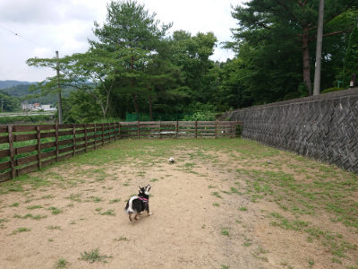f:id:roukenhome-ann:20190708151323j:plain