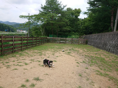 f:id:roukenhome-ann:20190708151328j:plain