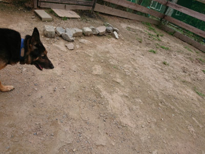 f:id:roukenhome-ann:20190708151338j:plain