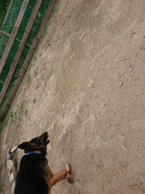 f:id:roukenhome-ann:20190708151343j:plain