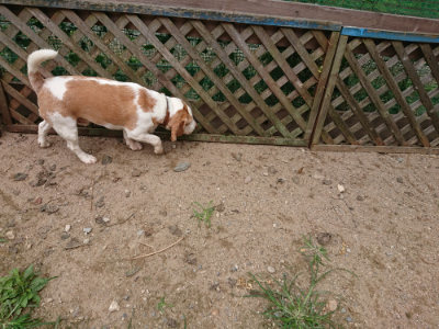 f:id:roukenhome-ann:20190708151402j:plain
