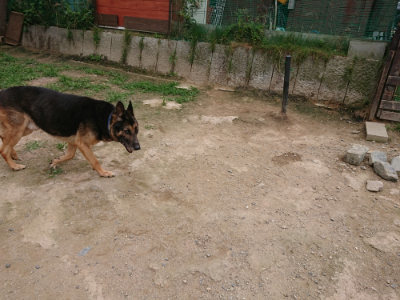 f:id:roukenhome-ann:20190708151413j:plain