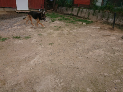 f:id:roukenhome-ann:20190708151427j:plain