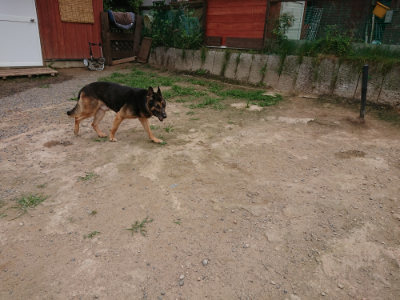 f:id:roukenhome-ann:20190708151434j:plain
