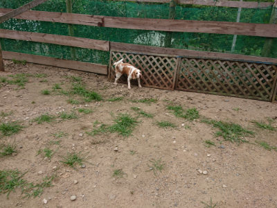 f:id:roukenhome-ann:20190708151446j:plain