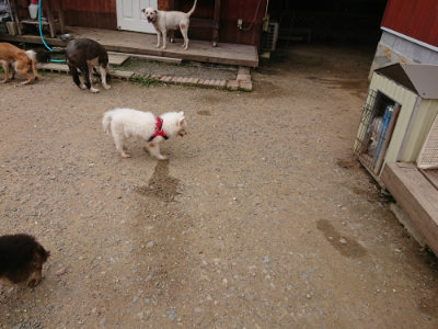 f:id:roukenhome-ann:20190708151540j:plain